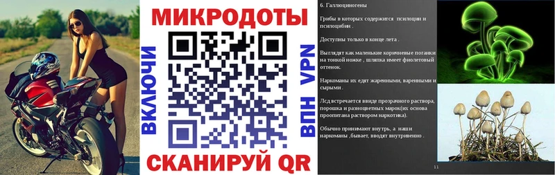 Галлюциногенные грибы прущие грибы  Куровское 